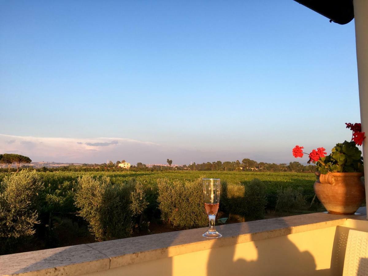 Villa Olga Tarquinia Exterior foto